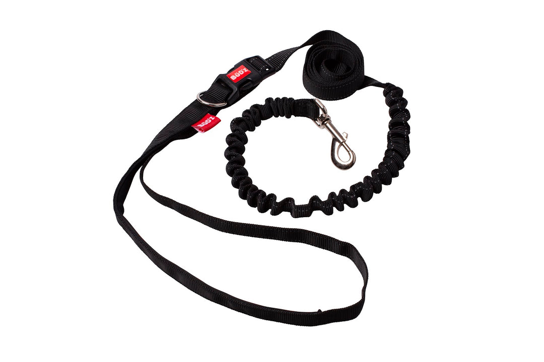 BUD'Z Laisse du Courreur 1x72" Noir