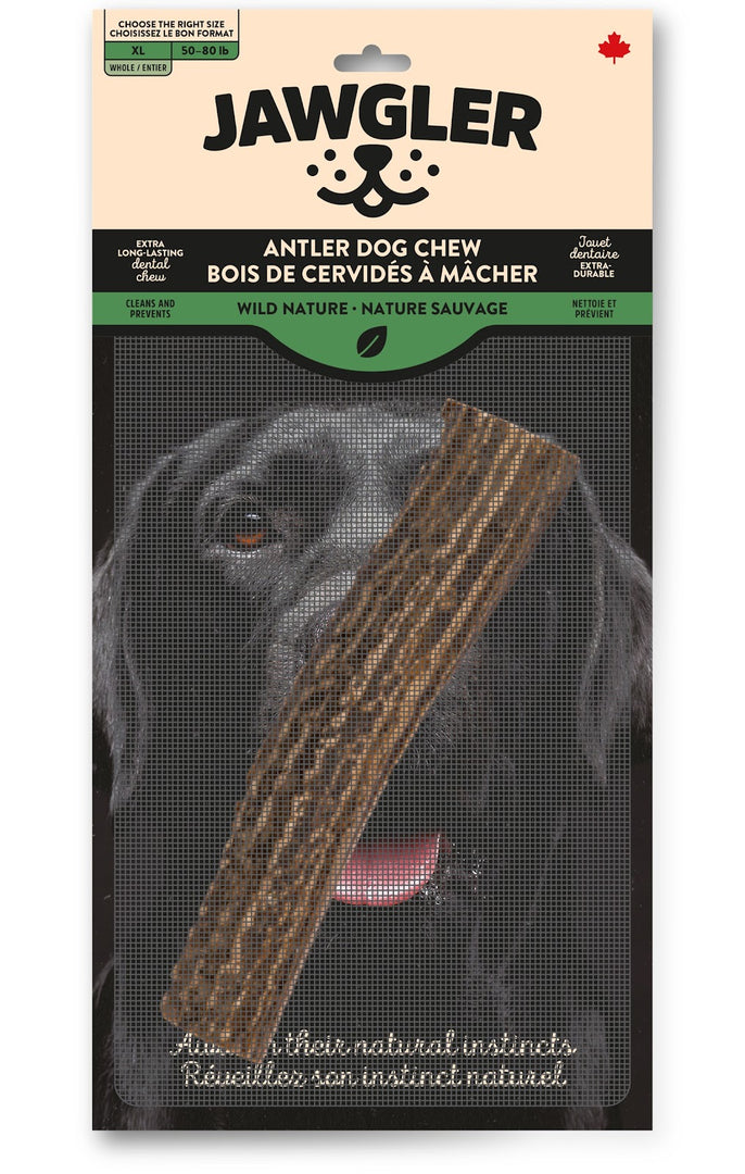 JAWGLER Gâteries Chien Bois Entier Nature Sauvage XL