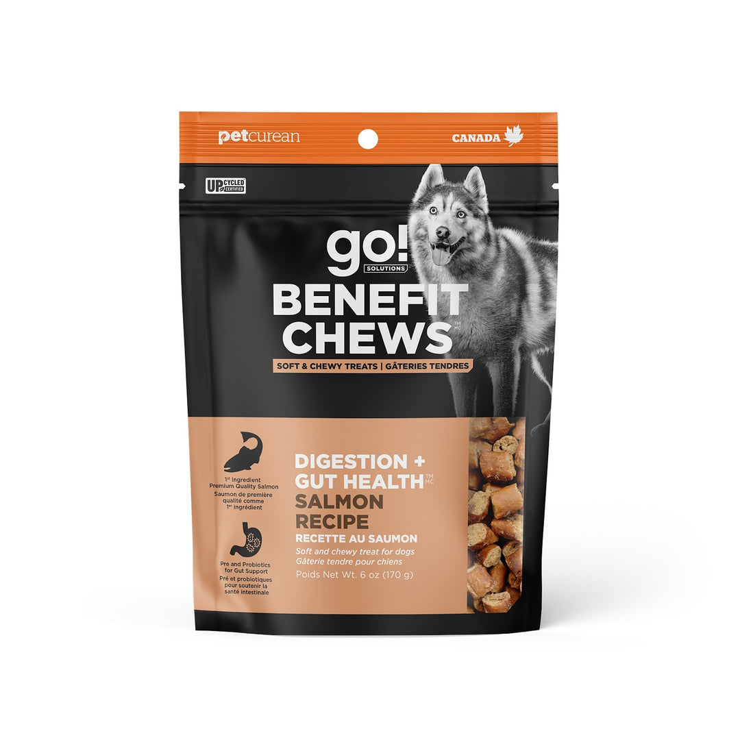 GO! Gâteries Chien Digestion & Santé Intestinale, Saumon 170g