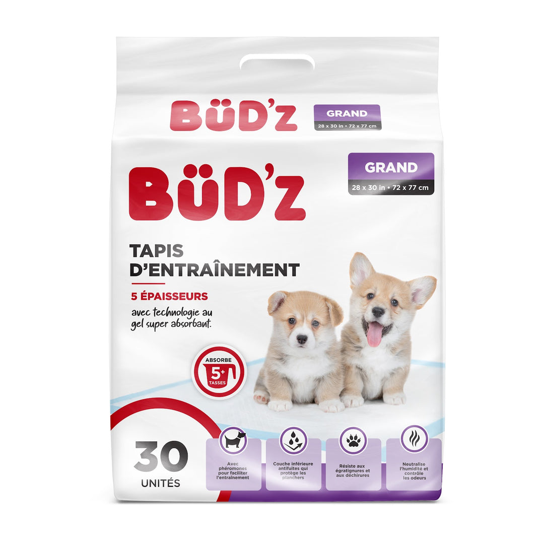 BUD'Z Tapis d'Entraînement Régulier 28x30" x30