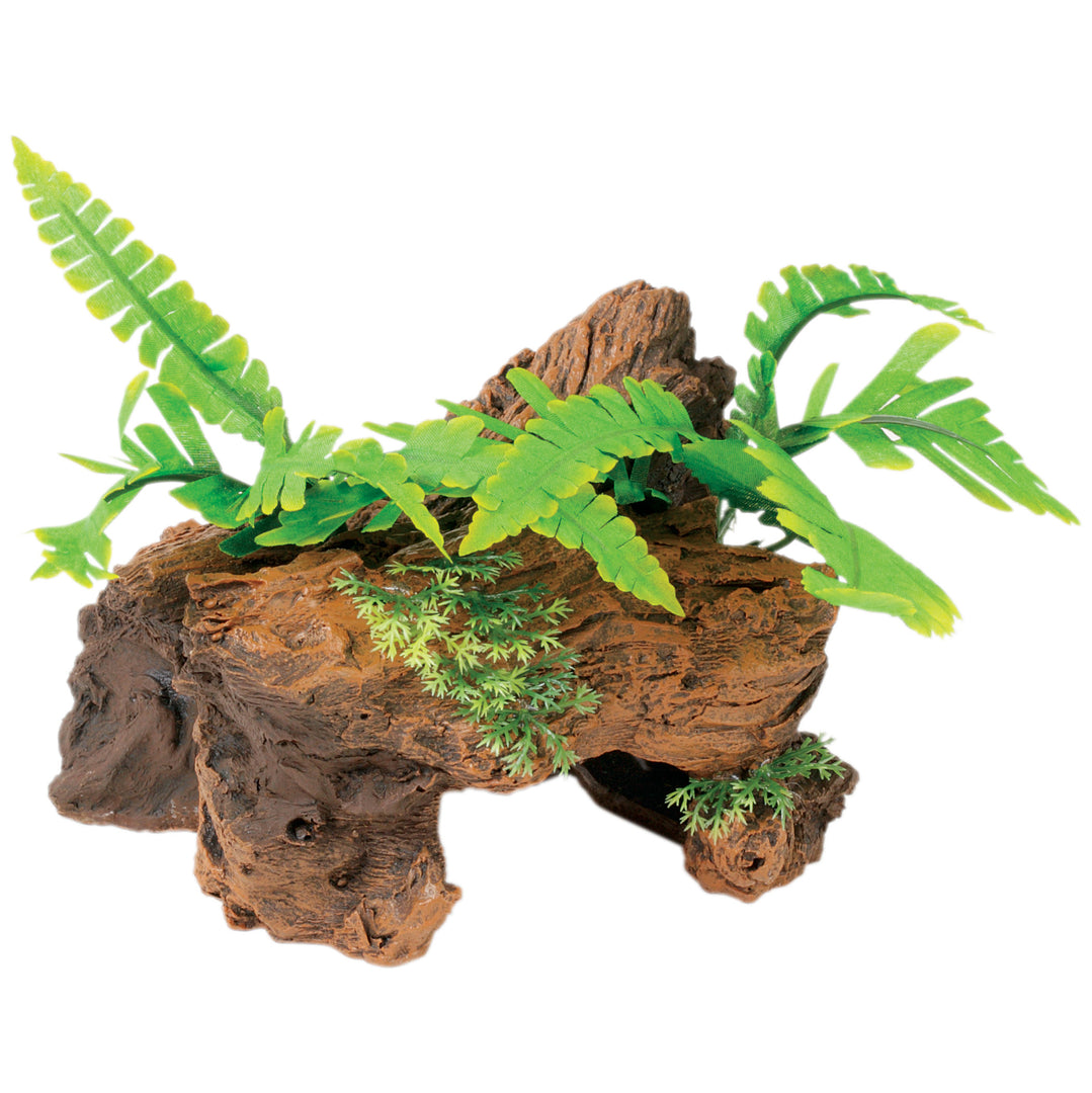 MARINA Bois Grève de Malaisie/Plantes S pour Aquarium