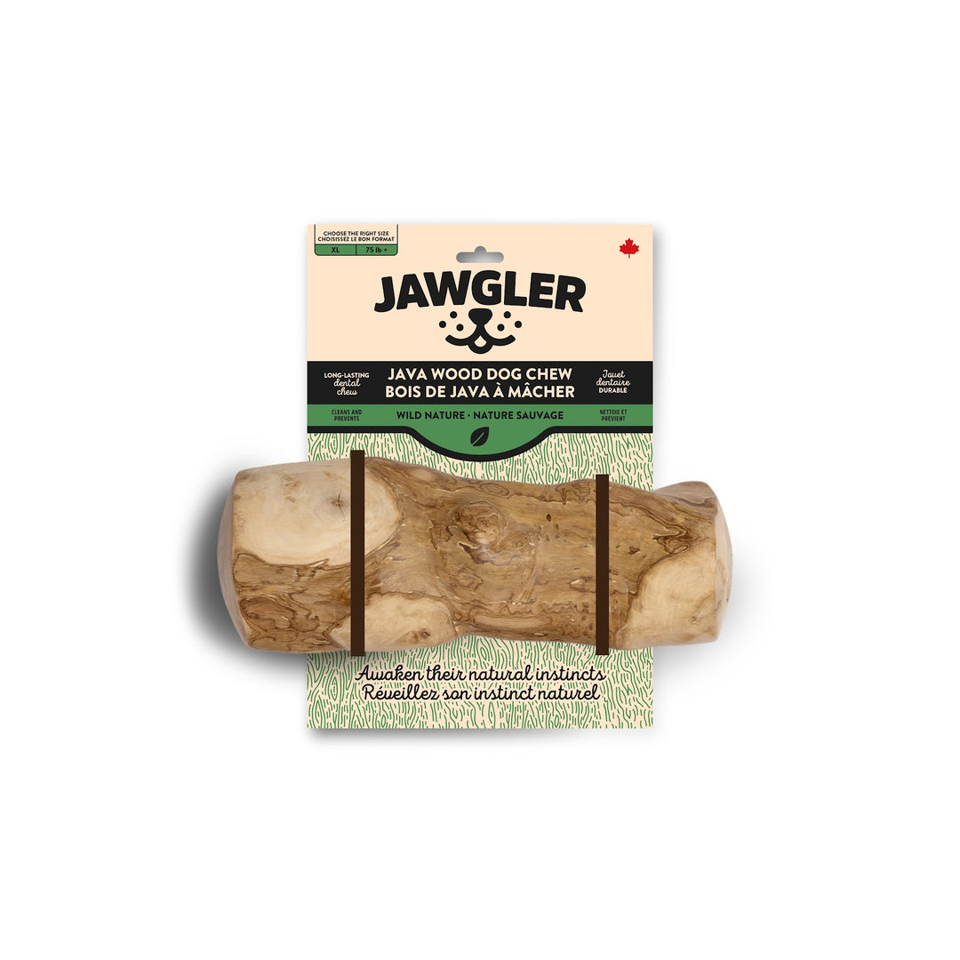 JAWGLER Gâteries Chien Bois Java Nature Sauvage XL