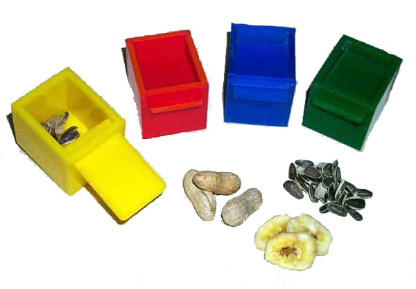 *FUNMAX Jouet Oiseaux Cubes de Couleurs 1.75" x4