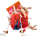 Voir l’image dans la galerie, FUNMAX Jouet Oiseaux Boîte Cuir en Folie 6x6&quot;
