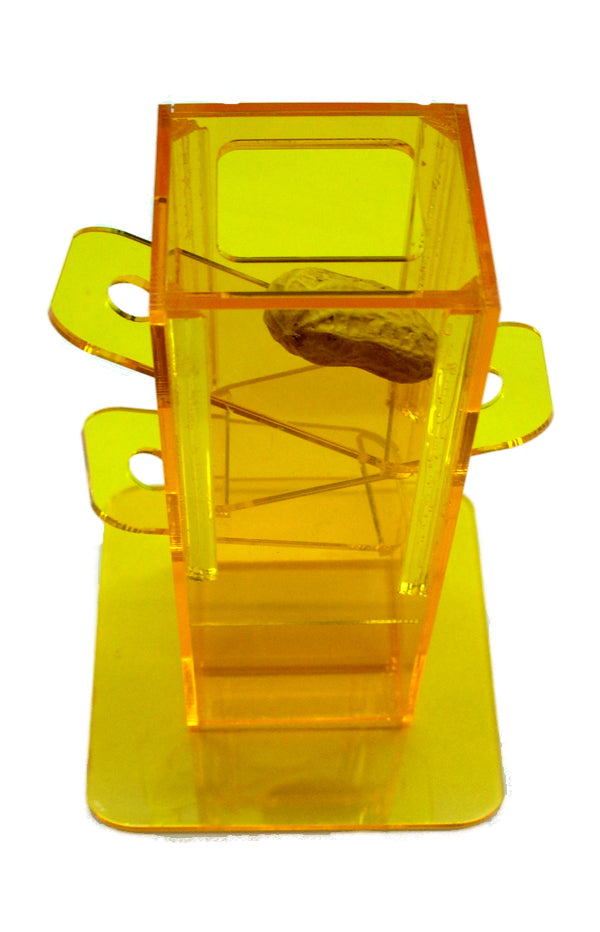 *FUNMAX Jouet Oiseaux Birdy Plunk S 6x2"