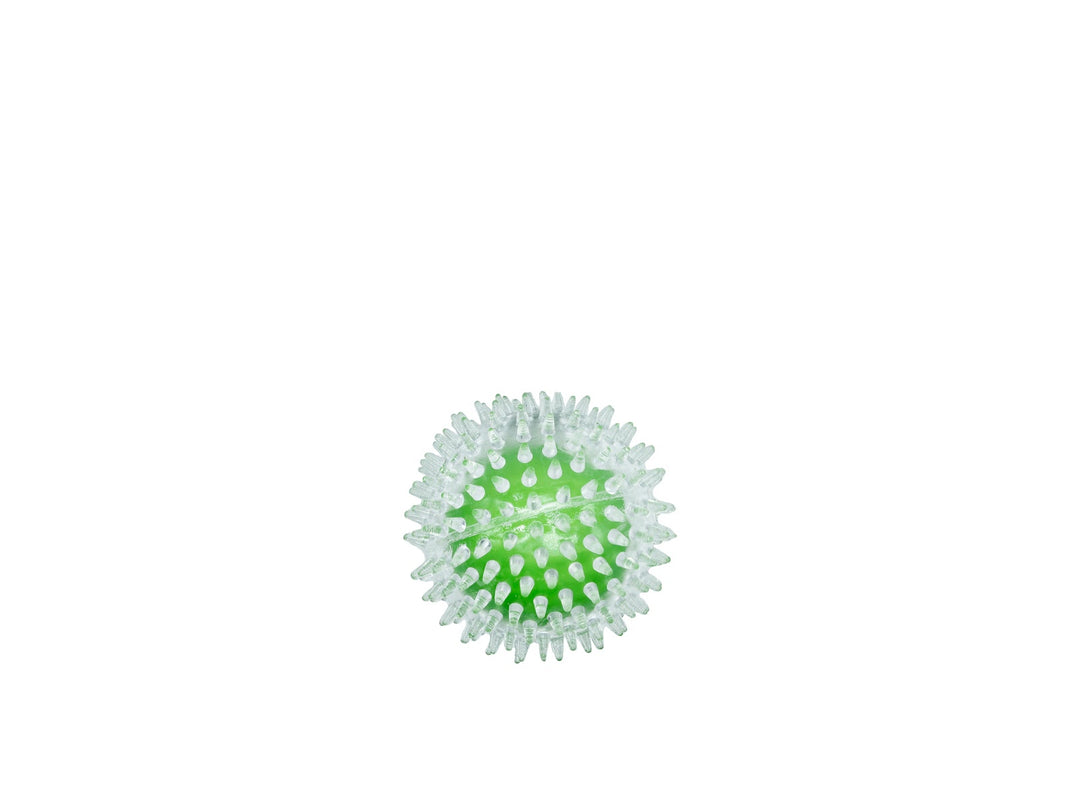 BUD'Z Jouet Chien Balle à Pointes Transparente & Verte