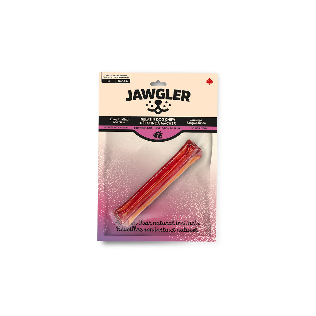 JAWGLER Gâteries Chien Gélatine Explosion de Fruits M