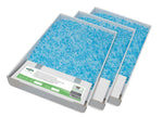 Voir l’image dans la galerie, PETSAFE Scoopfree Plateau de Rechange Bleu x3
