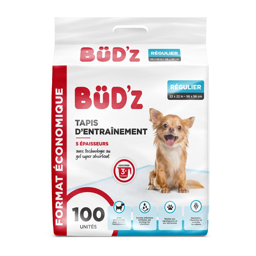 BUD'Z Tapis d'Entraînement Régulier 22x22" x100