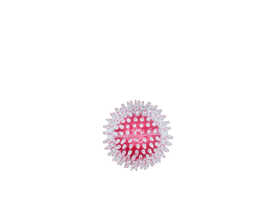 BUD'Z Jouet Chien Balle à Pointes Transparente & Rose