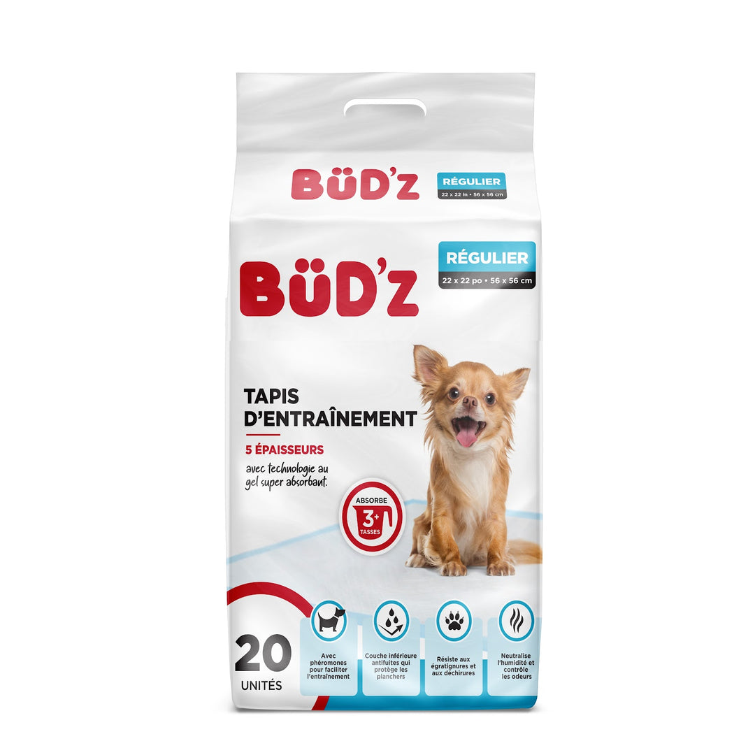 BUD'Z Tapis d'Entraînement Régulier 22x22" x20