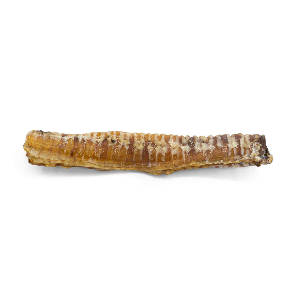 WAWWAW Gâteries Chien Trachée de Boeuf 12"