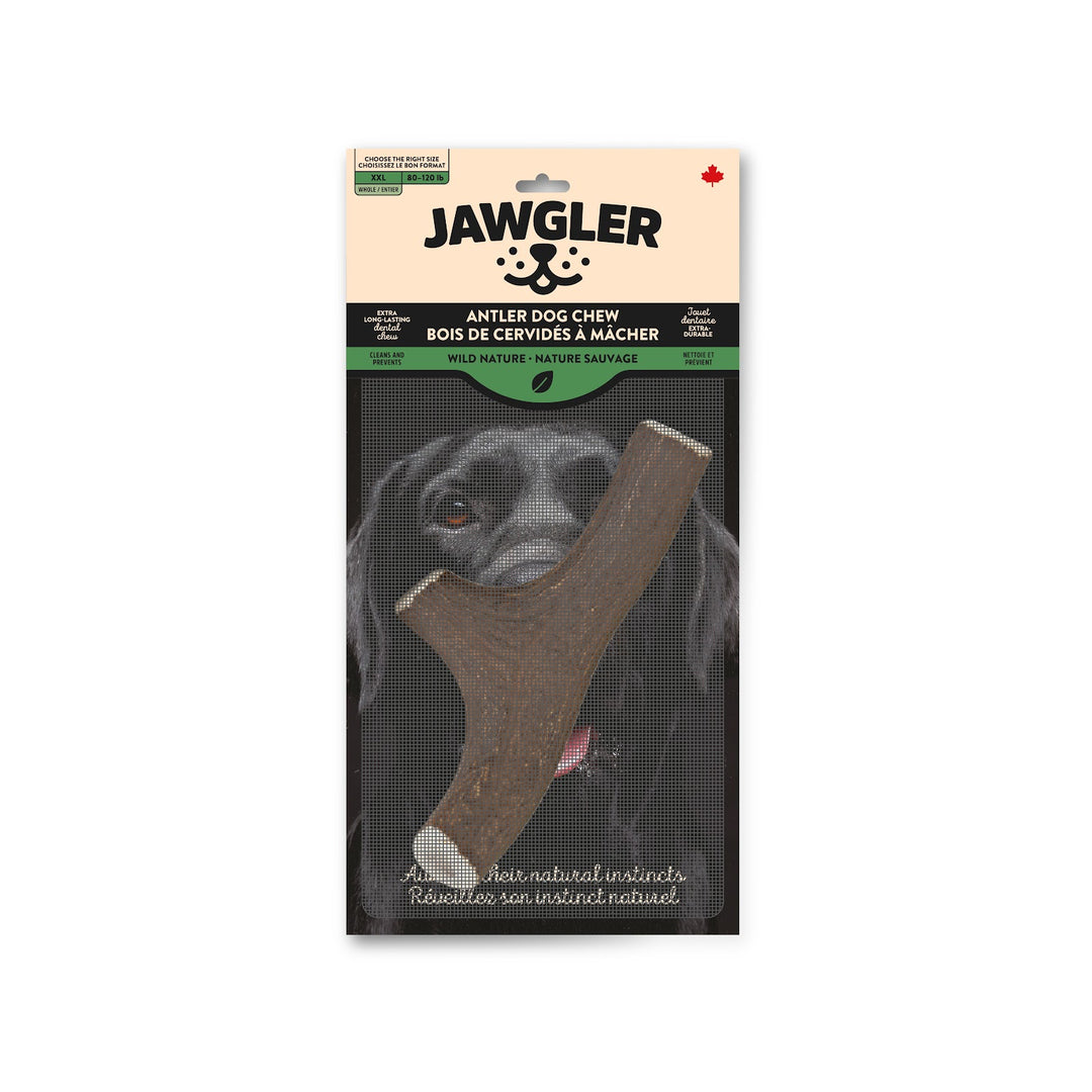 JAWGLER Gâteries Chien Bois Entier Nature Sauvage XXL