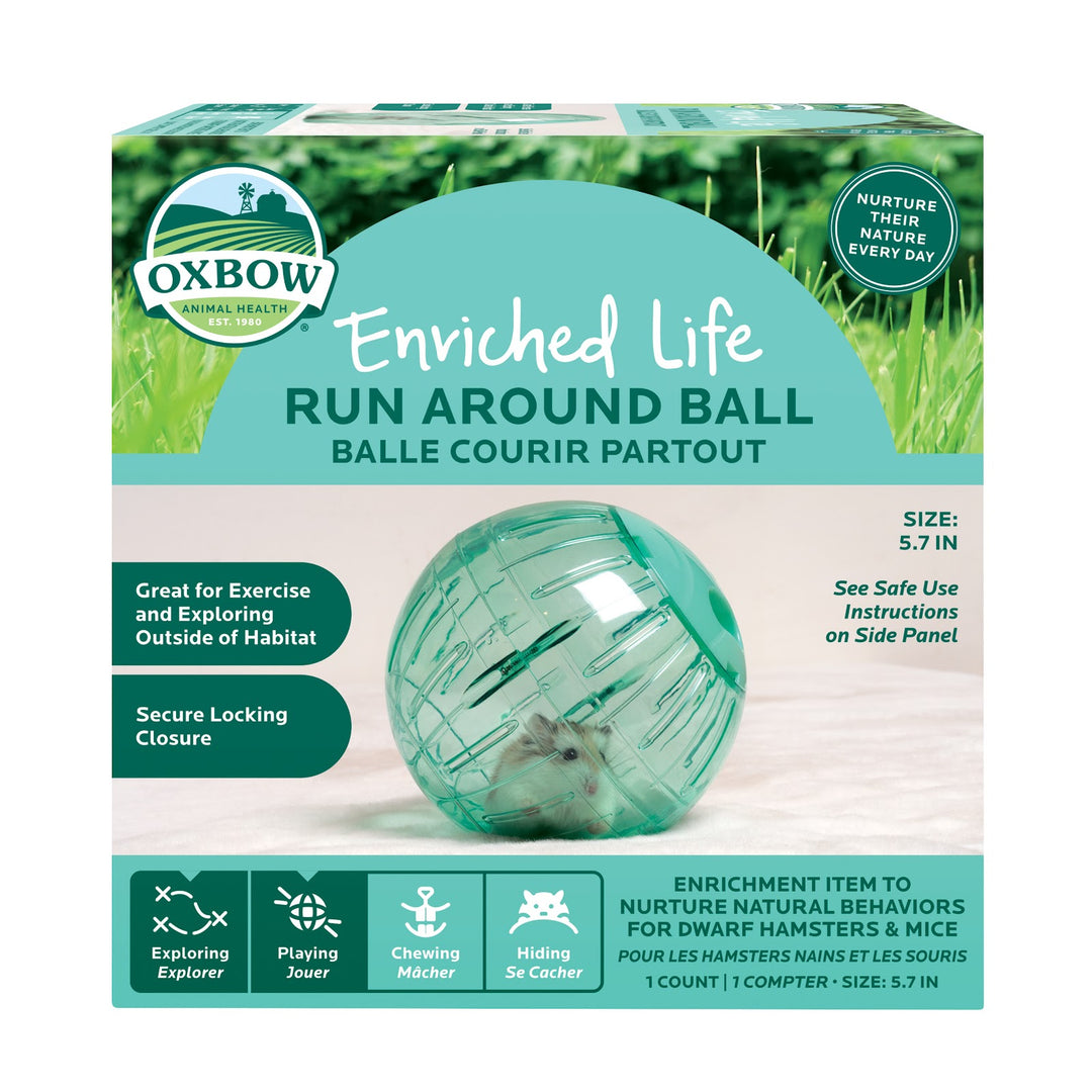 OXBOW Jouet Rongeur Jeu Exercise Balle Coiurir Partout