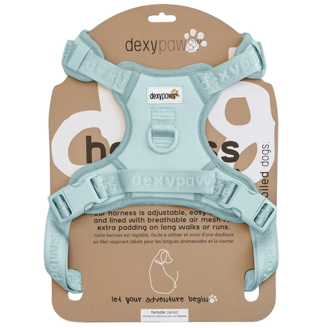 DEXYPAWS Harnais Sans Traction Bleu Ciel XL