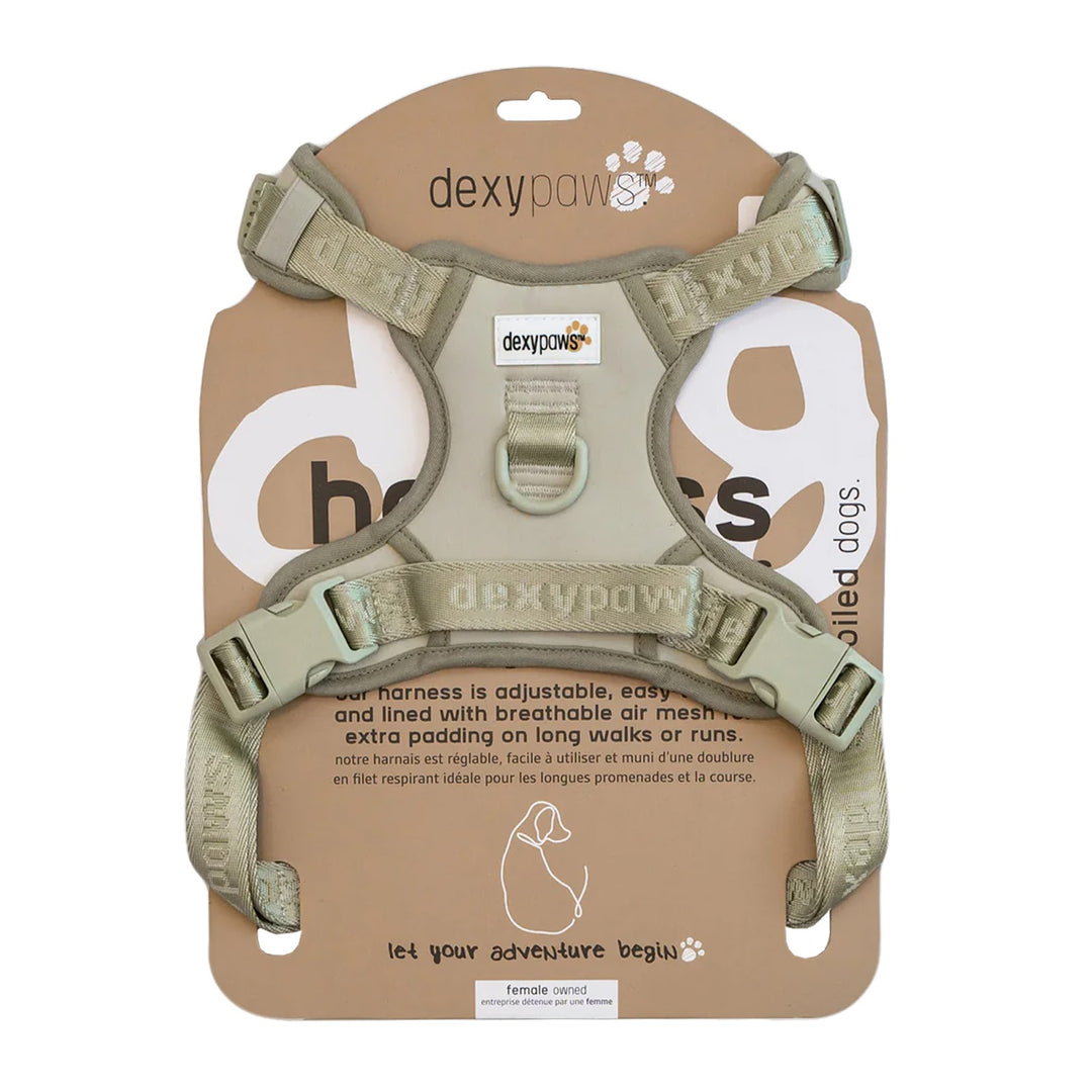 DEXYPAWS Harnais Imperméable Vert Sauge L