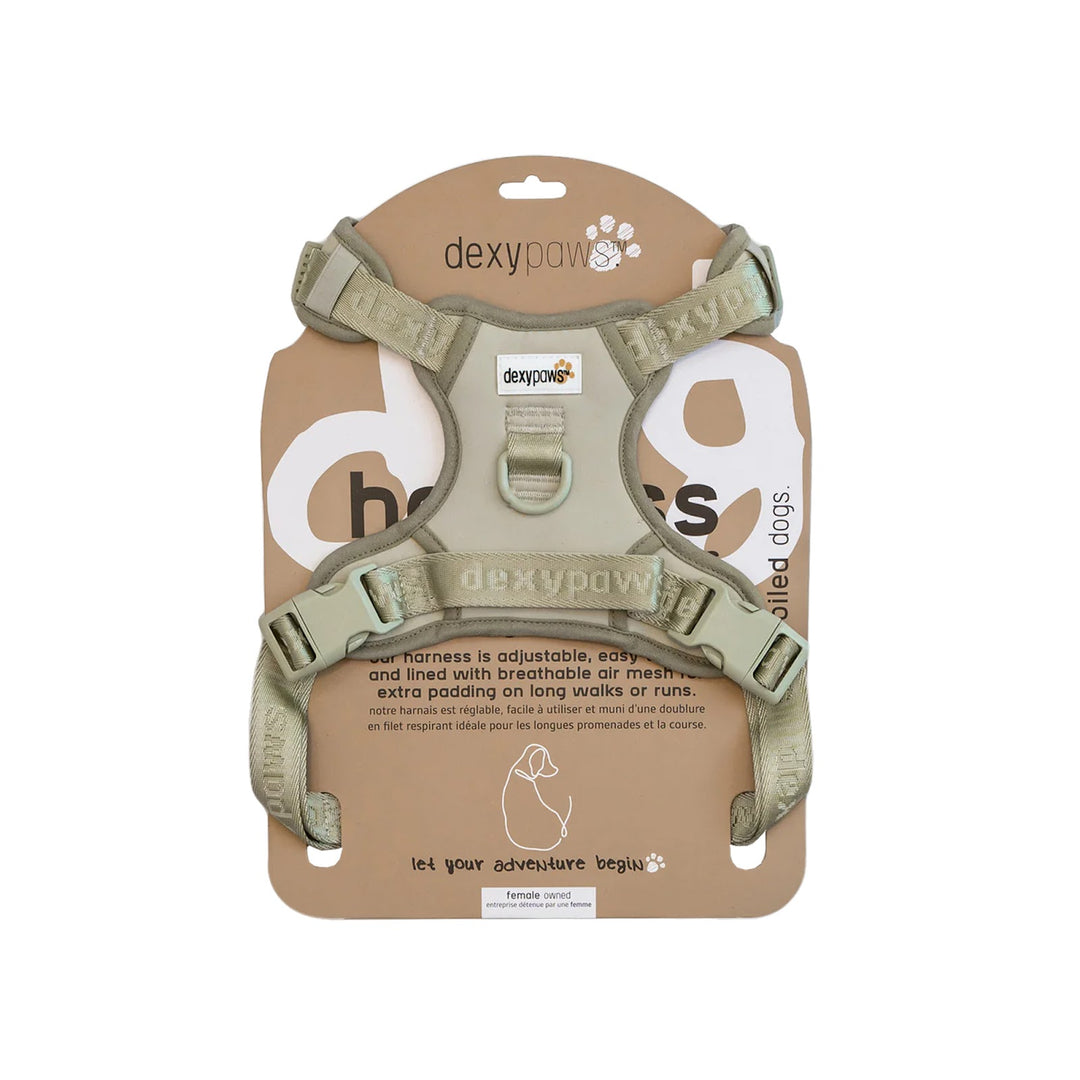 DEXYPAWS Harnais Imperméable Vert Sauge S
