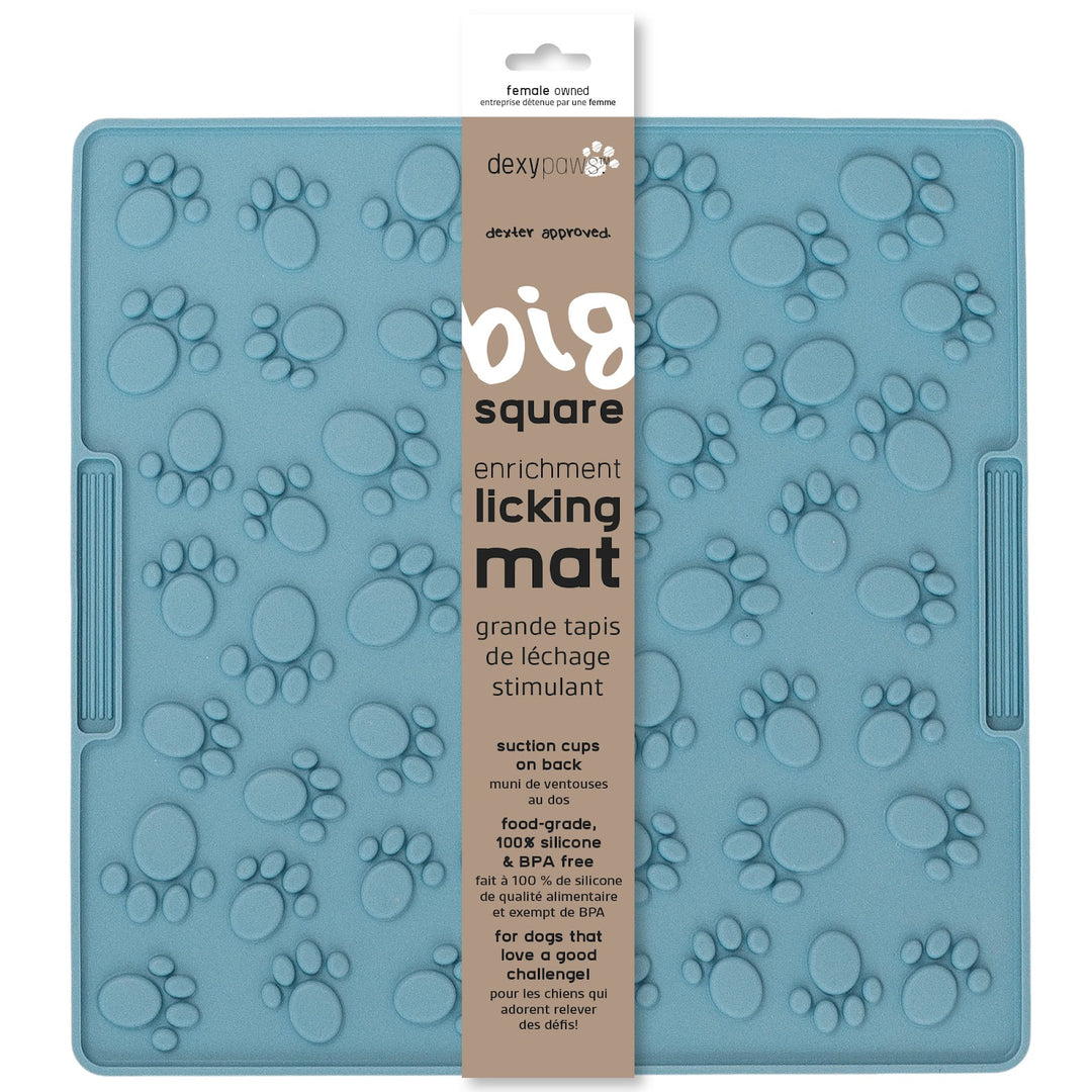 DEXYPAWS Tapis Léchange Forme Carré Grand Bleu