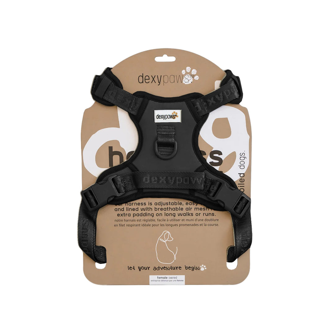 DEXYPAWS Harnais Imperméable Espresso XL