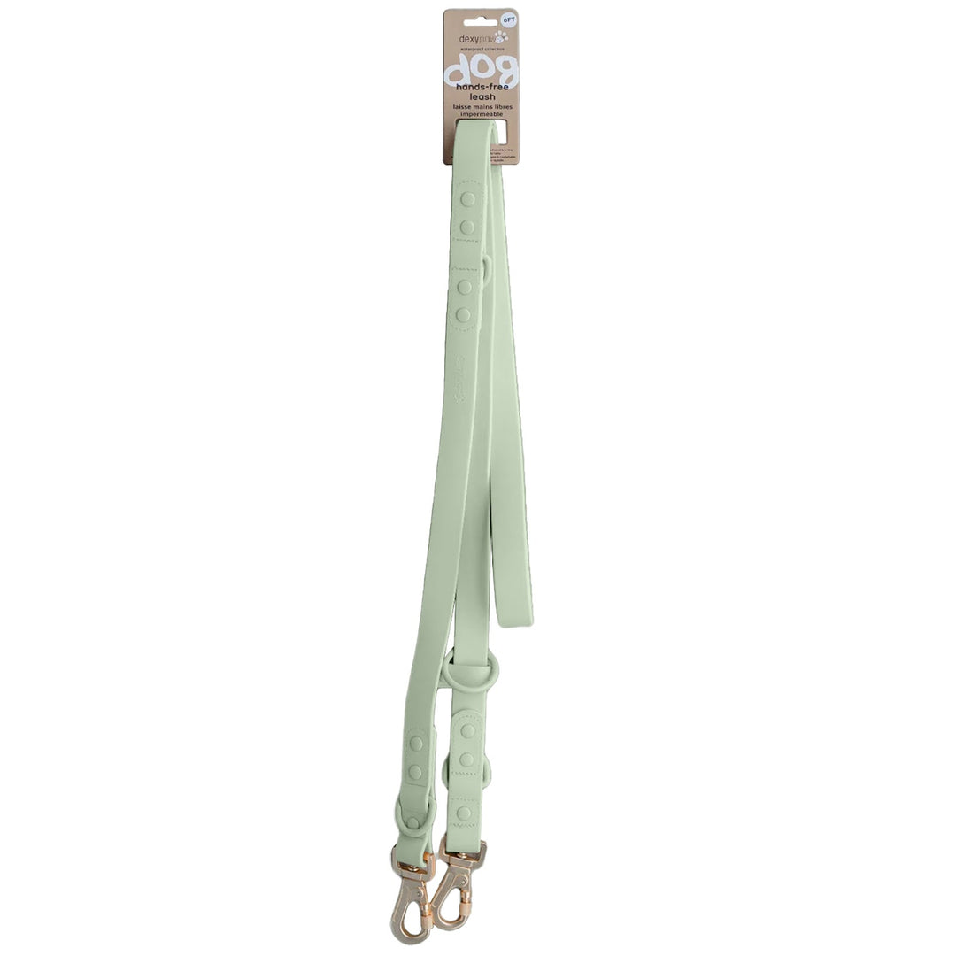 DEXYPAWS Laisse Imperméable Mains Libre Vert Sauge 6'