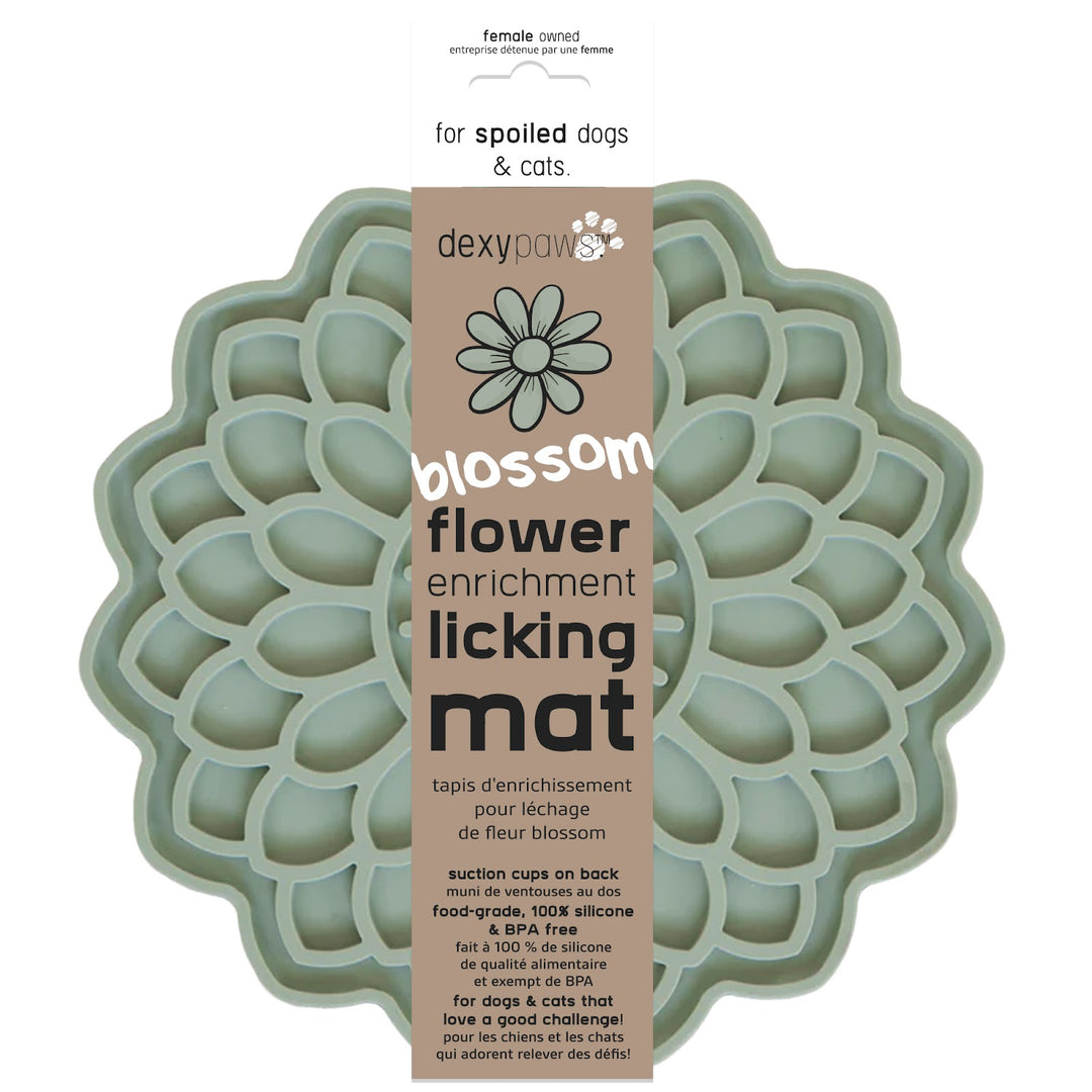 DEXYPAWS Tapis Léchange Forme de Fleur Vert Sauge