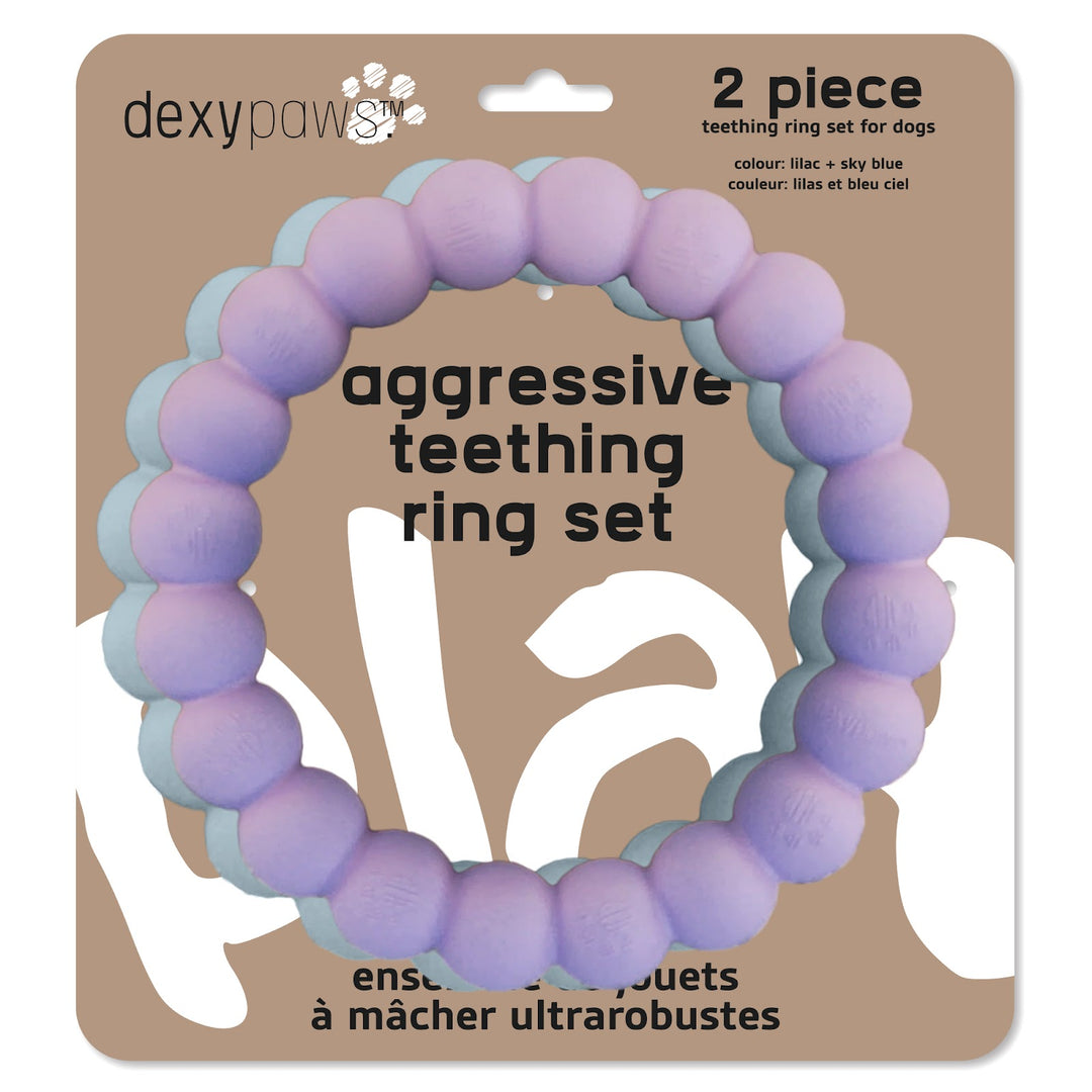 DEXYPAWS Jouet Chat Duo Anneaux Lilas & Bleu