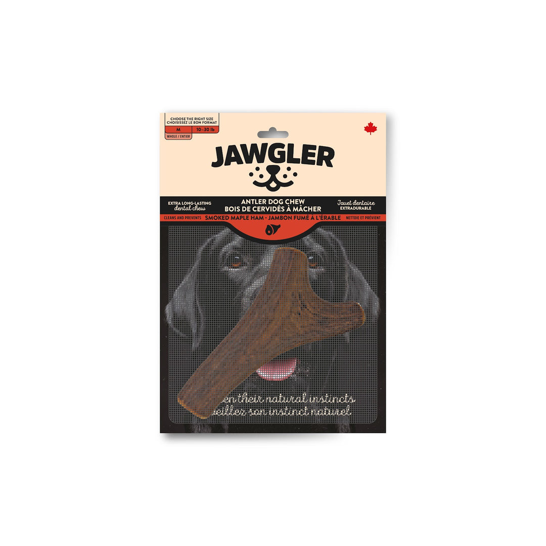 JAWGLER Gâteries Chien Bois Entier Fumé M