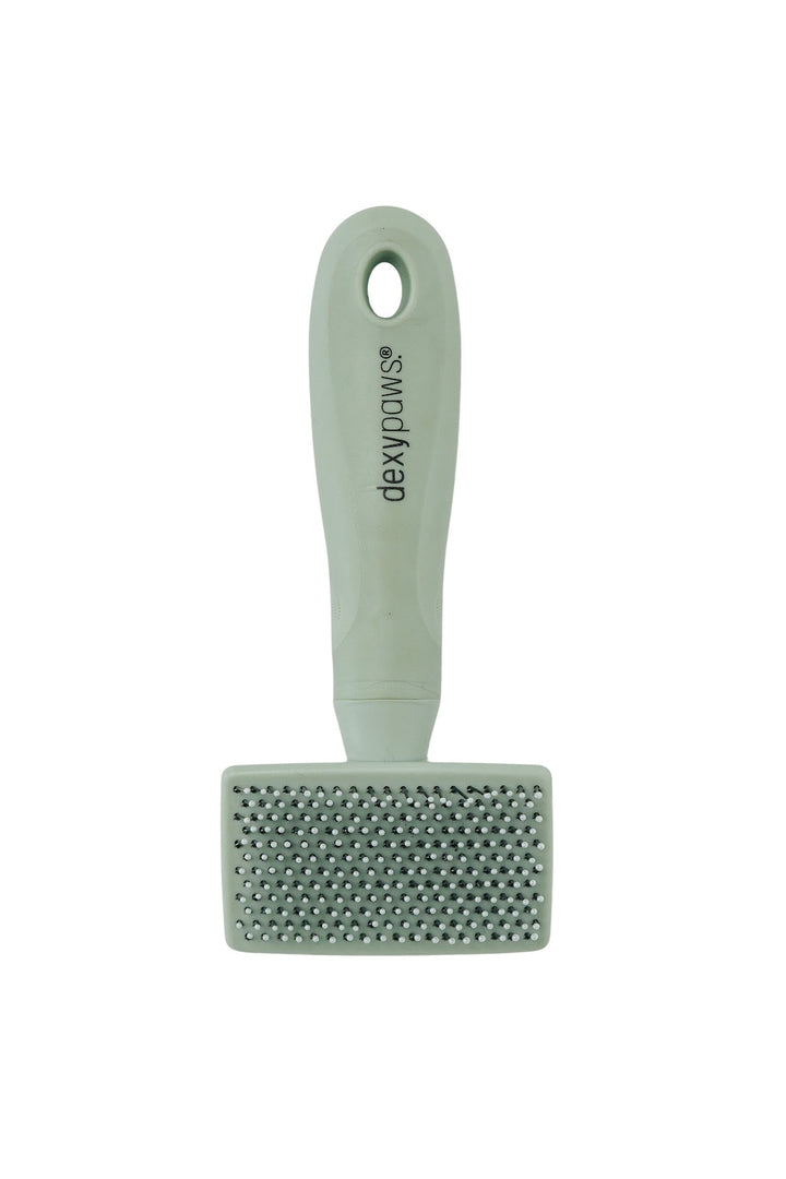 DEXYPAWS Brosse Douce à Pointes