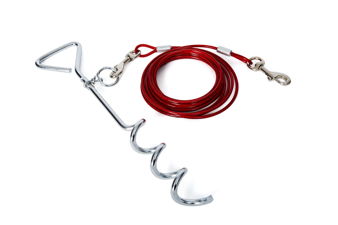 BUD'Z Pieu en Spiral 16"/Câble Attache 15'
