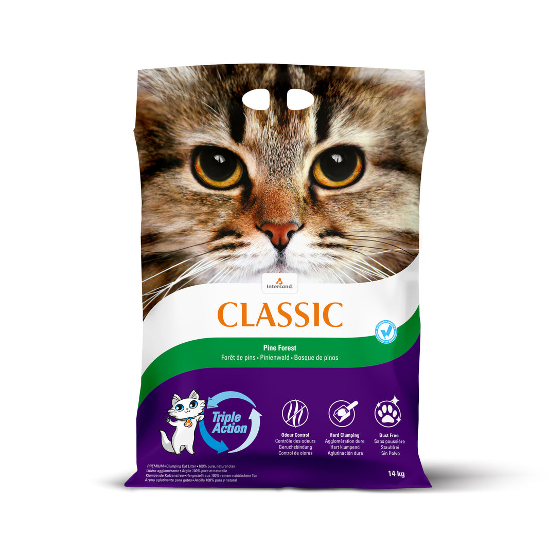 INTERSAND CLASSIC Litière Forêt de Pin 14kg