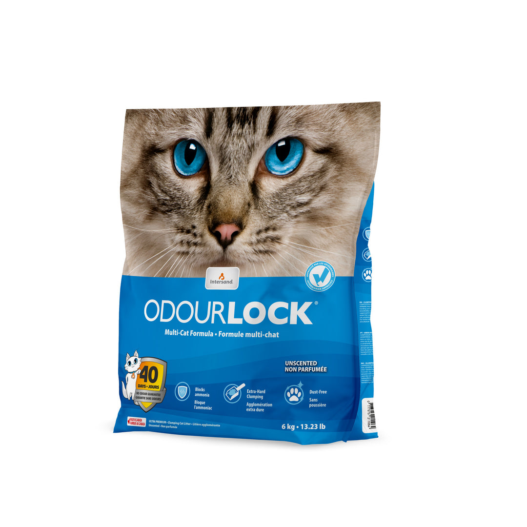 INTERSAND ODOURLOCK Litière Non Parfumée 6kg
