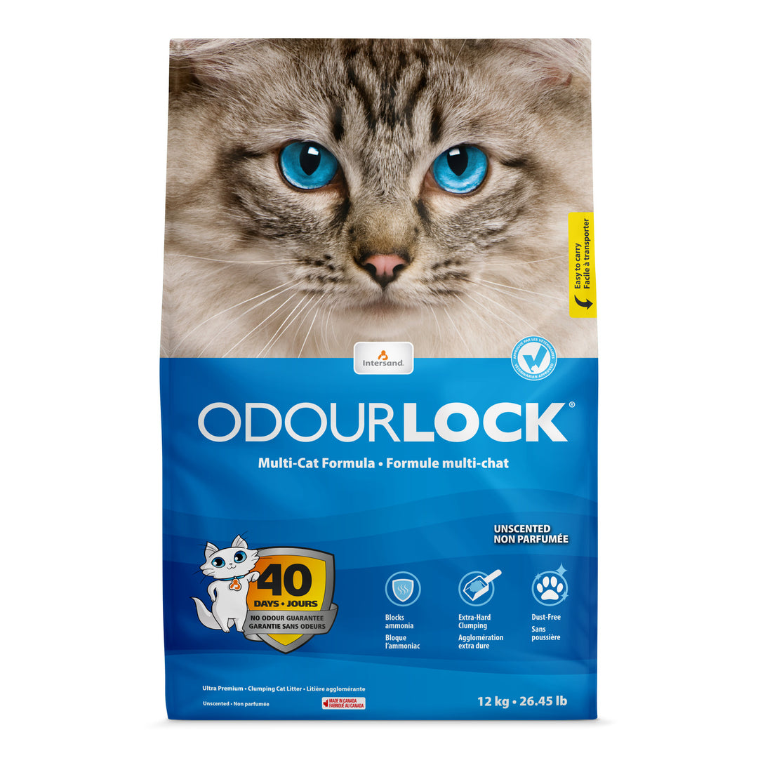 INTERSAND ODOURLOCK Litière Non Parfumée 12kg