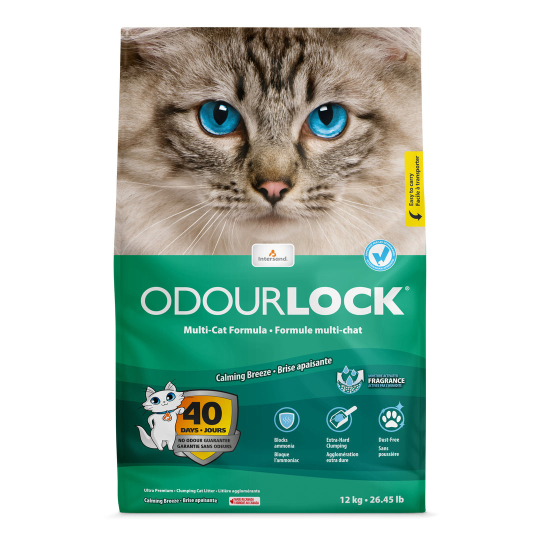 INTERSAND ODOURLOCK Litière Brise Apaisante 12kg