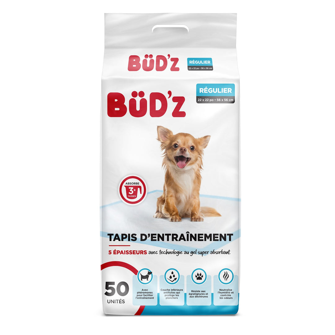 BUD'Z Tapis d'Entraînement Régulier 22x22" x50