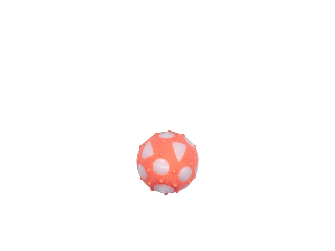 BUD'Z Jouet Chien Balle Pleine Corail L