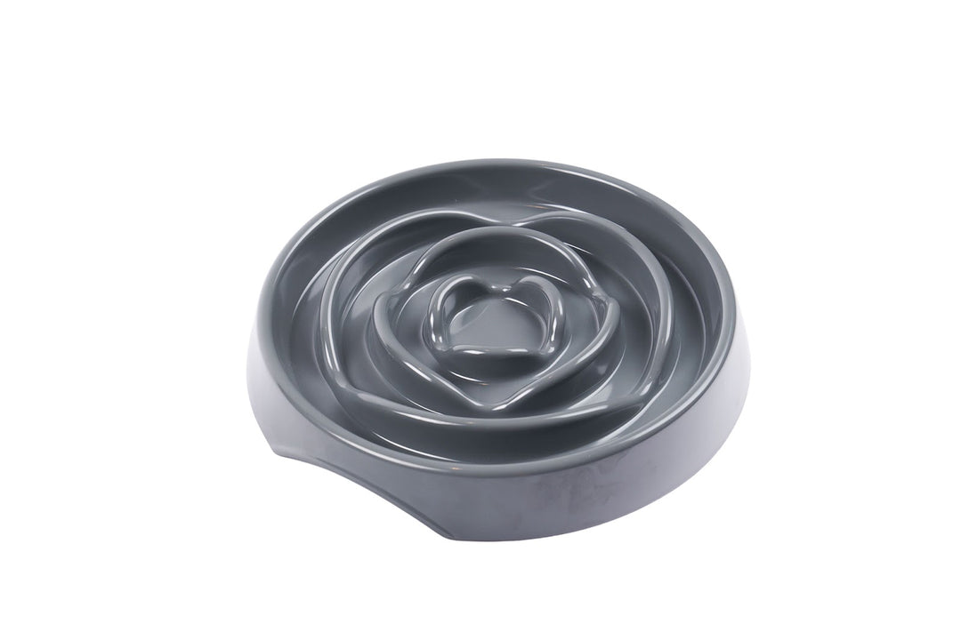 MESSY MUTTS Bol Ralentisseur Chien & Chat 1.75 Tasse Gris