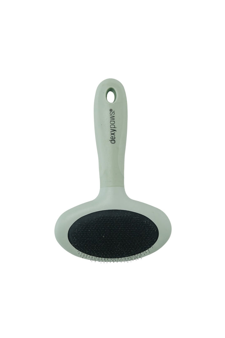 DEXYPAWS Brosse Démêlante L