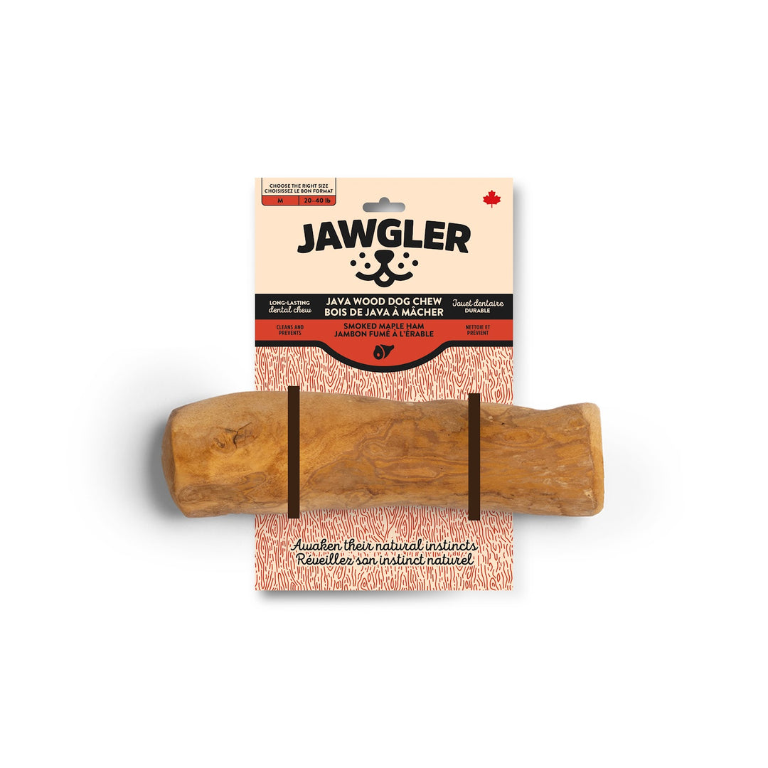 JAWGLER Gâteries Chien Bois Java Fumé M