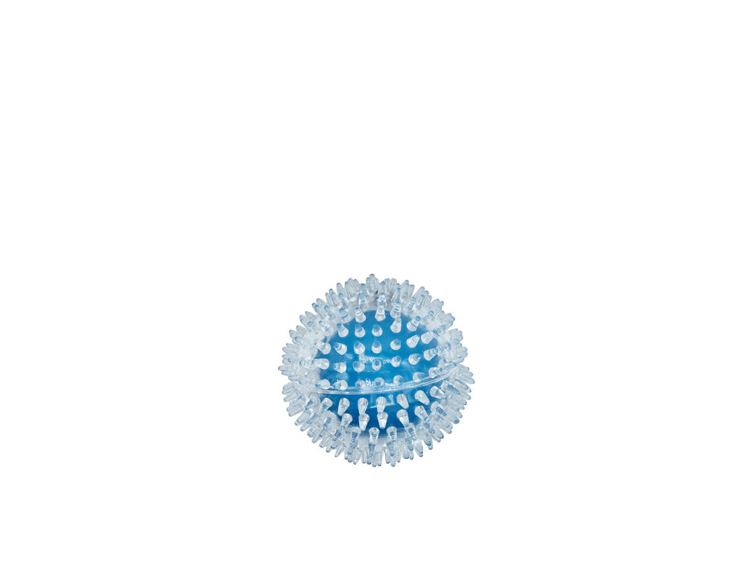 BUD'Z Jouet Chien Balle à Pointes Transparente & Bleue