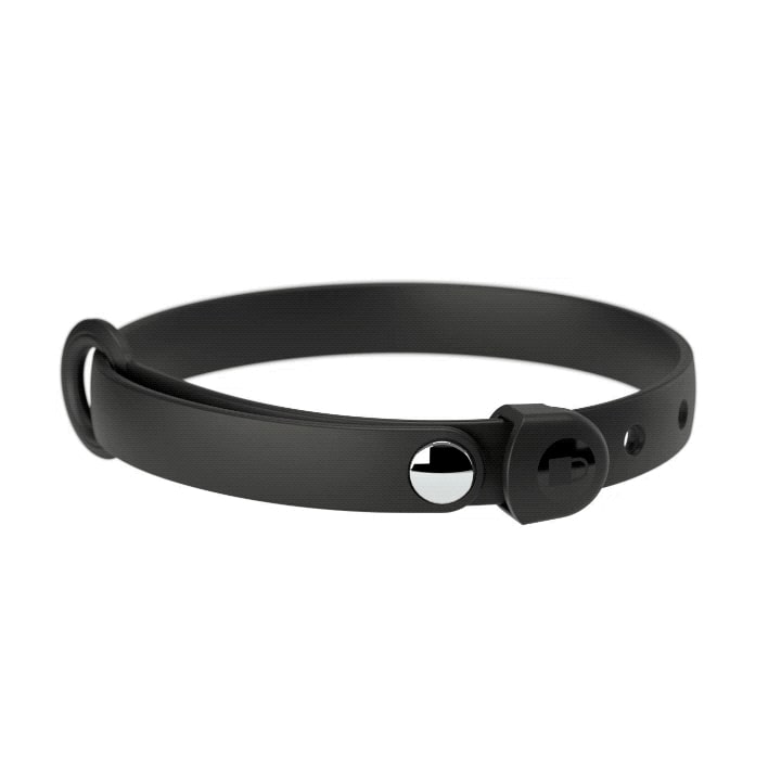 NUVUQ Collier Chien Poivre Noir Mini
