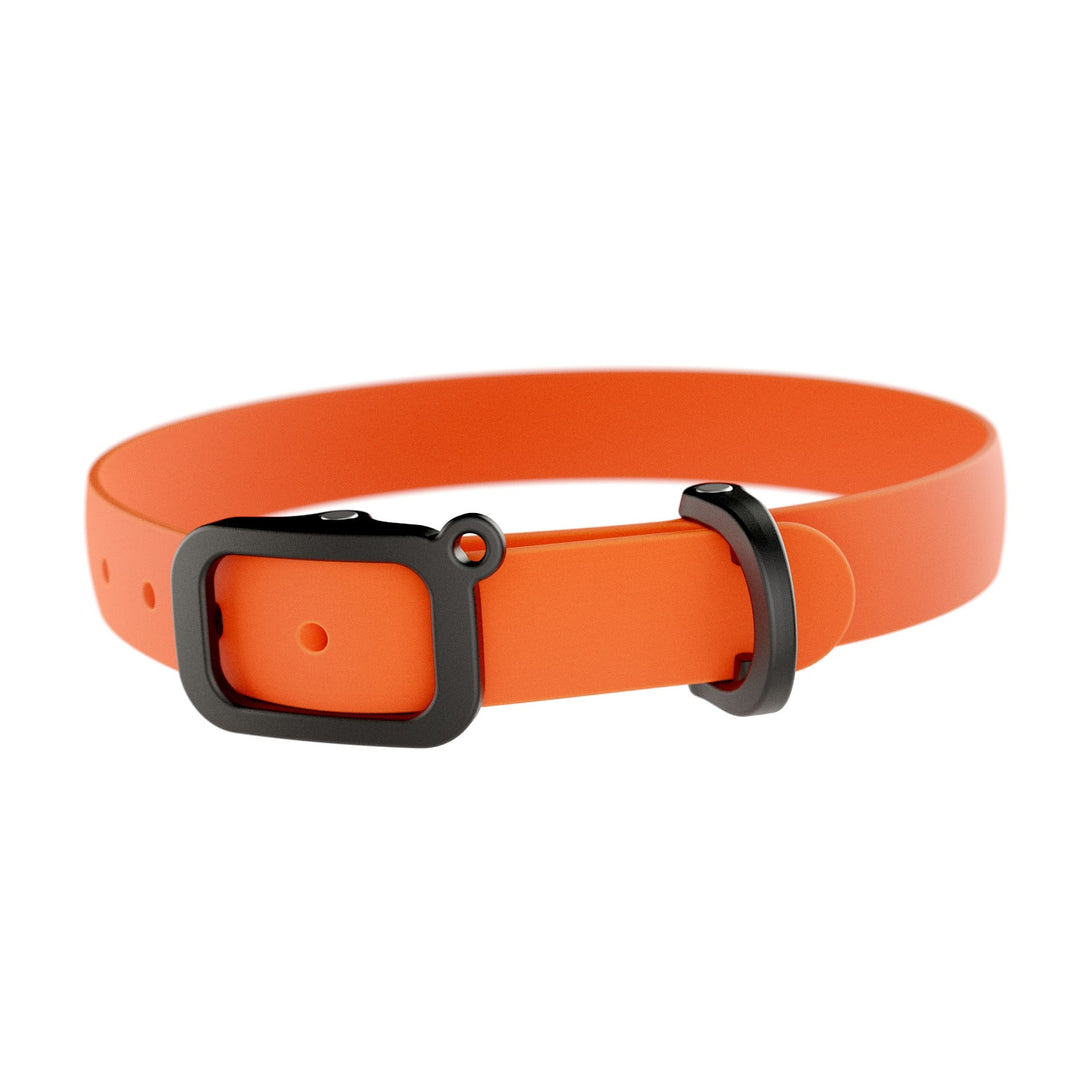NUVUQ Collier Chien Orange Tangerine L