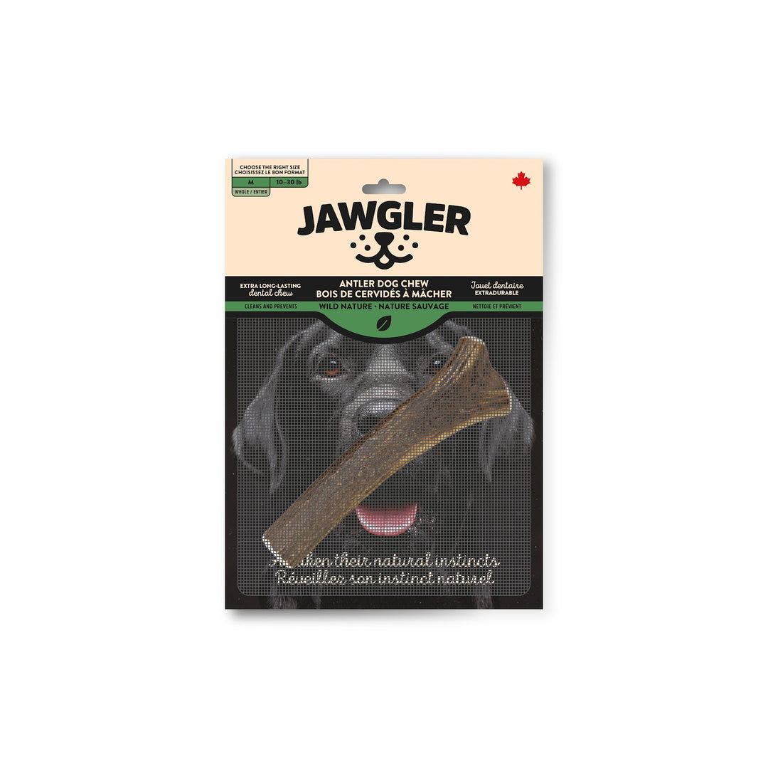 JAWGLER Gâteries Chien Bois Entier Nature Sauvage M