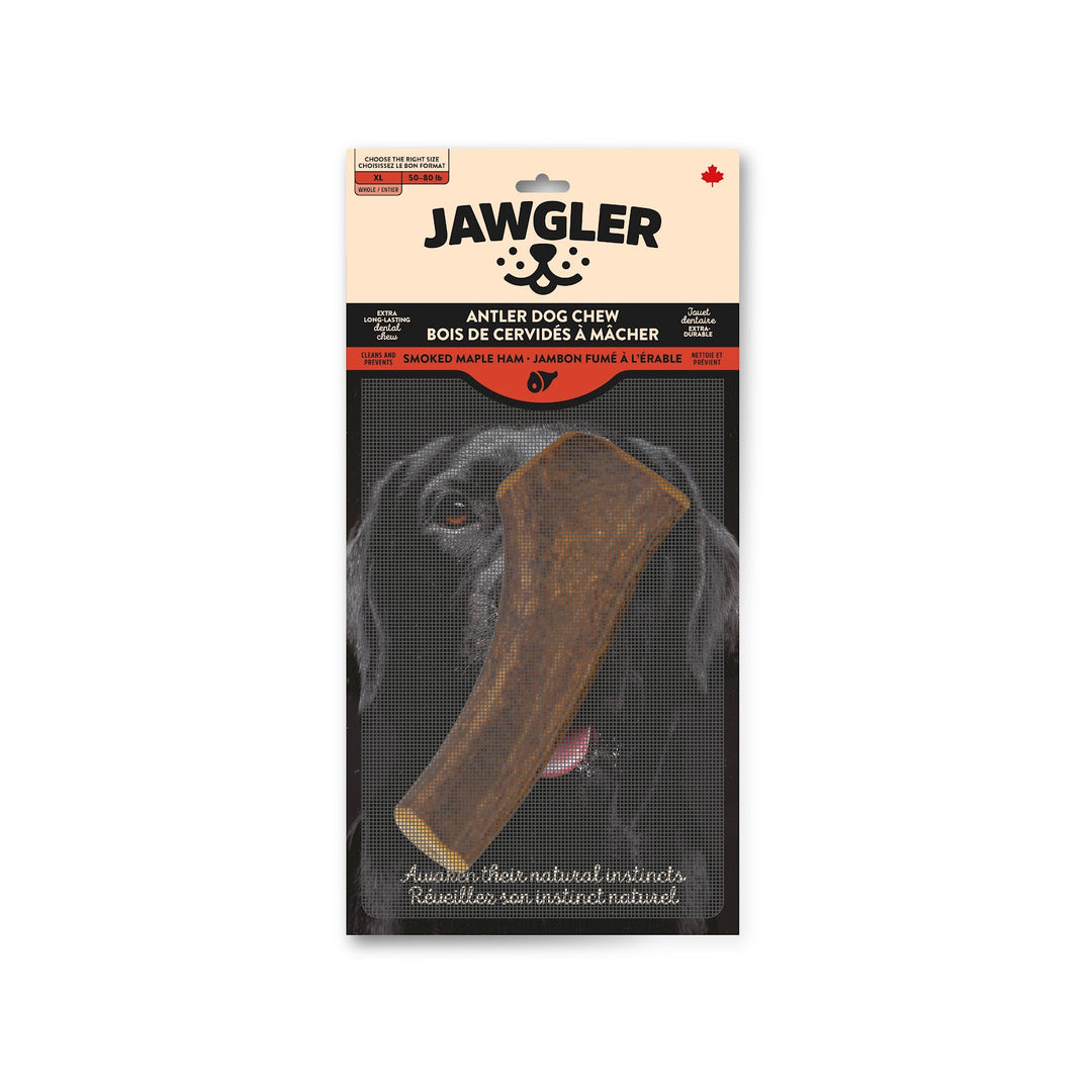 JAWGLER Gâteries Chien Bois Entier Fumé XL