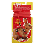 Voir l’image dans la galerie, LW Laisse 48&quot; &amp; Harnais Lapin Rouge
