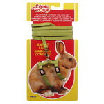 Voir l’image dans la galerie, *LW Laisse 48&quot; &amp; Harnais Lapin Vert
