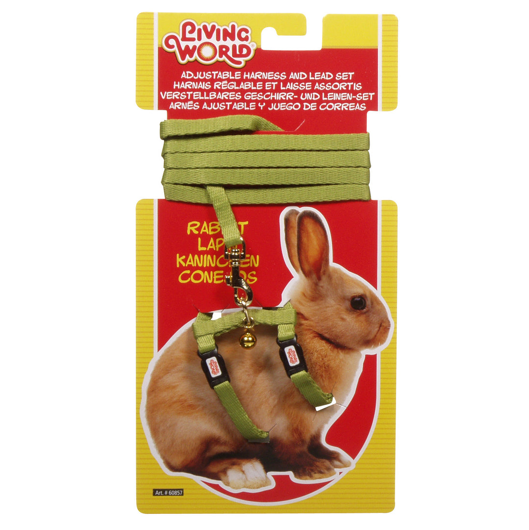 *LW Laisse 48" & Harnais Lapin Vert