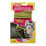 Voir l’image dans la galerie, *LW Laisse 48&quot; &amp; Harnais Furet Vert
