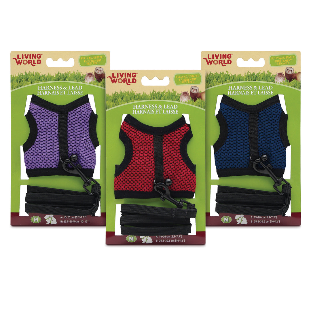 LW Laisse & Harnais Asst. Couleurs M pour Petits Animaux