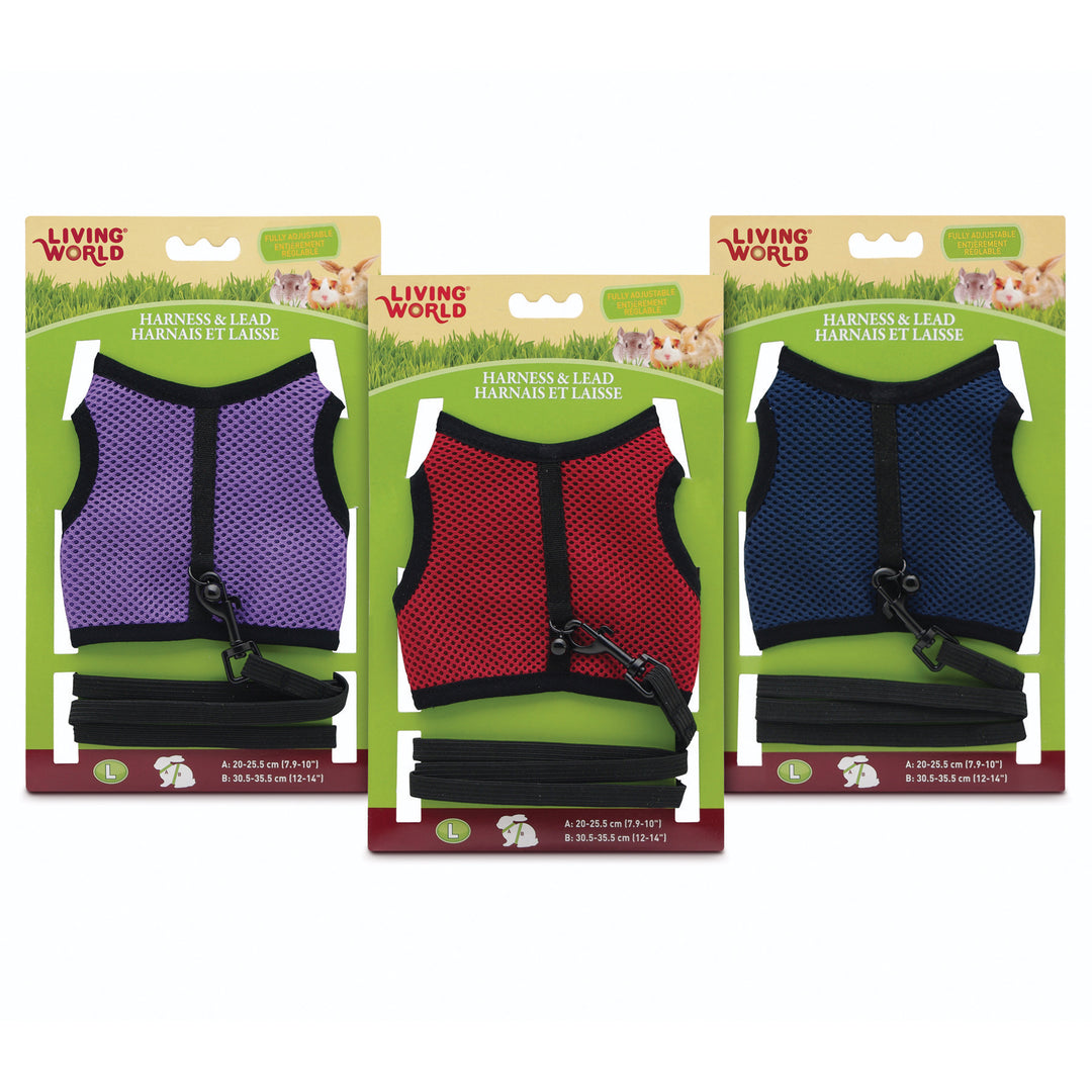 LW Laisse & Harnais Asst. Couleurs L pour Petits Animaux