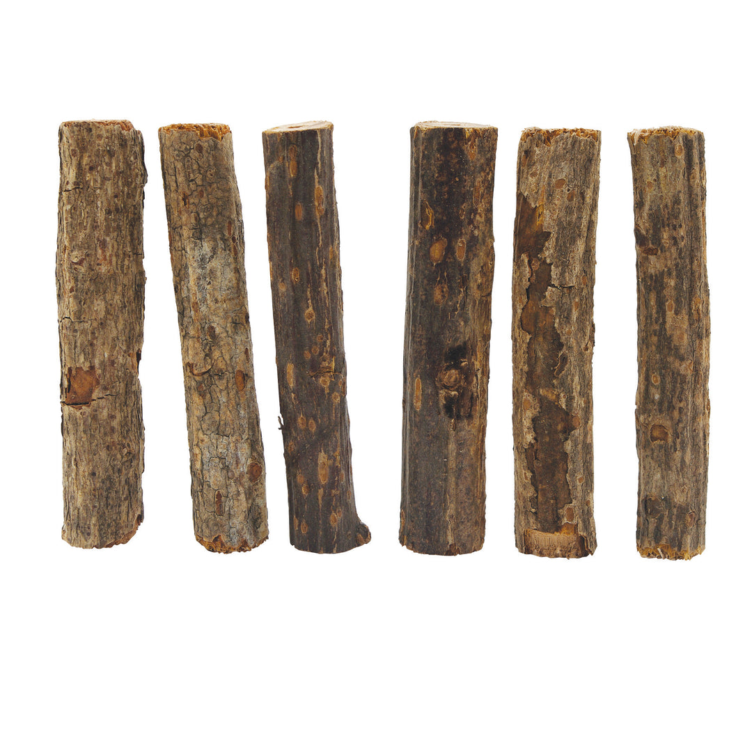 LW Jouet Rongeur Nibblers en Bois Bâtonnets Branches Kiwi x6